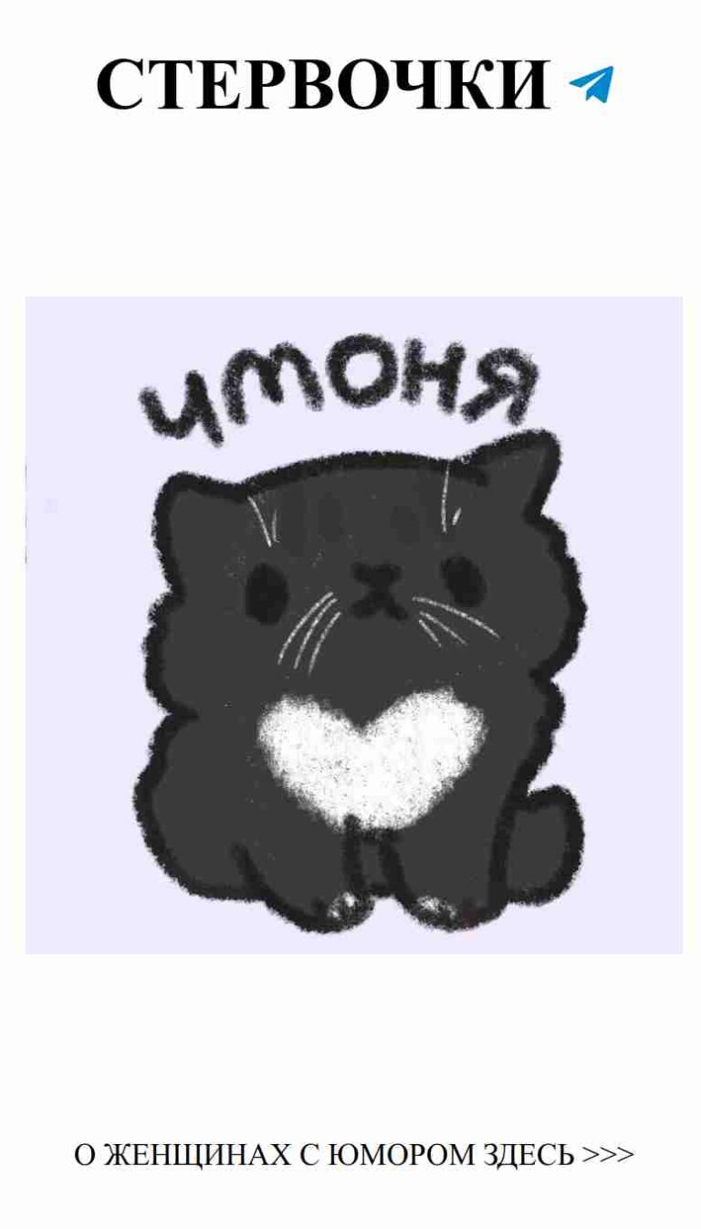 Милый черный котик с забавным сообщением о любви