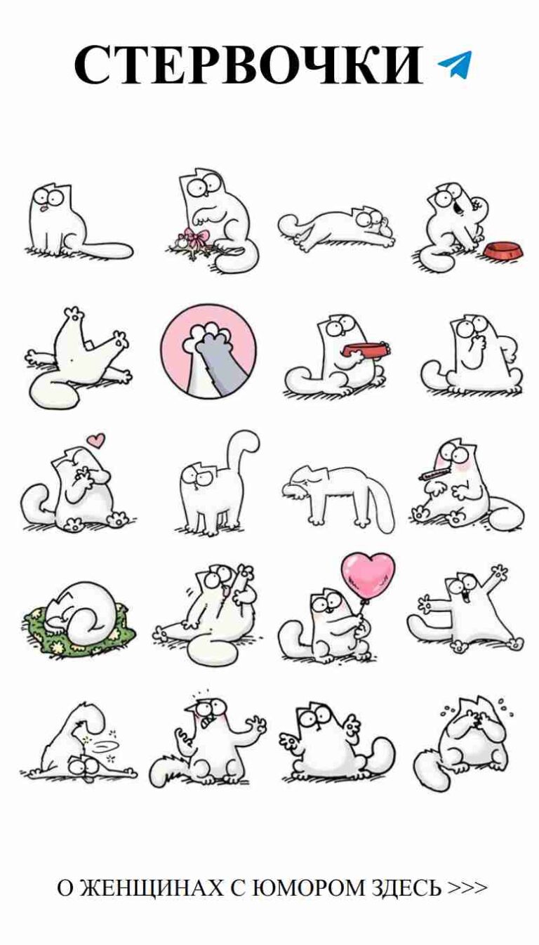 Любовь в сердце: смешные котики о любви и дружбе