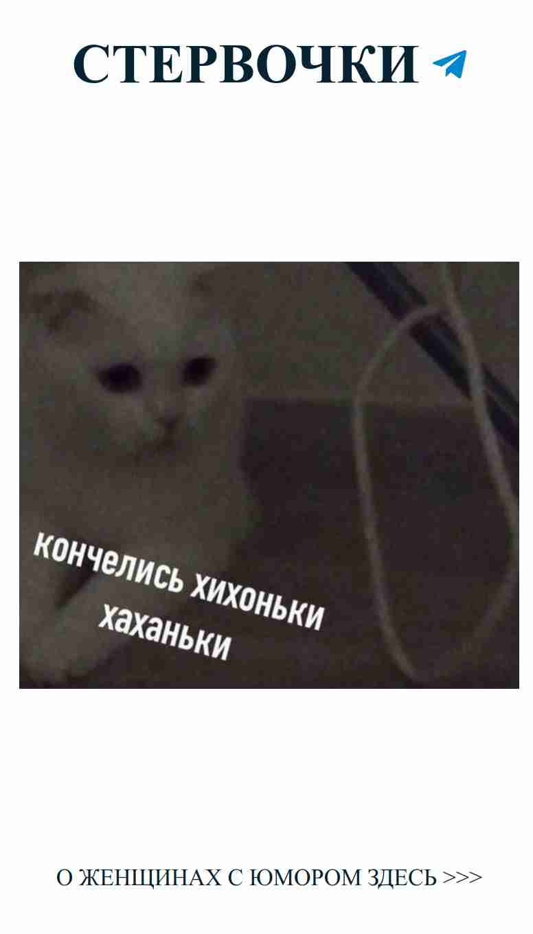 Кошачьи забавы: как не любить милых пушистиков