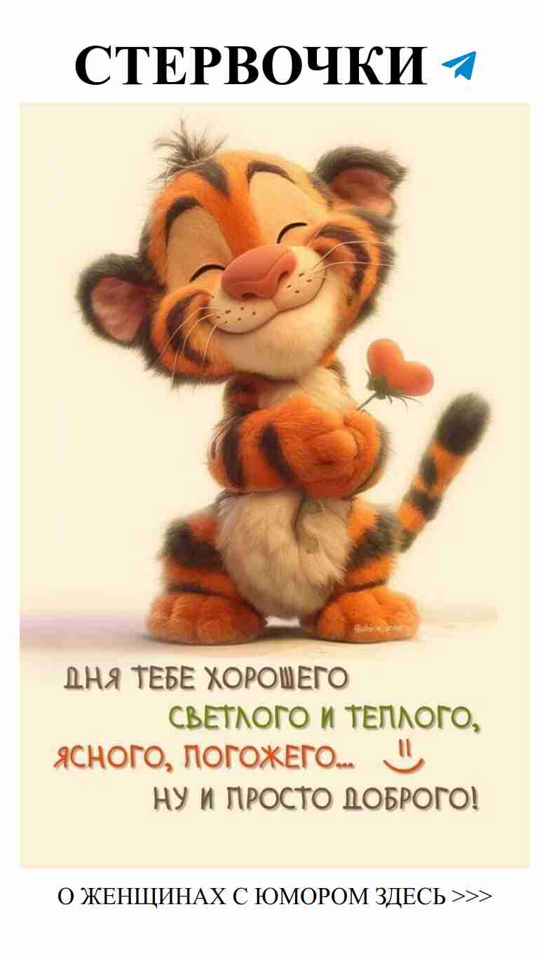 Милый тигр с цветком: С днём рождения, моя любовь