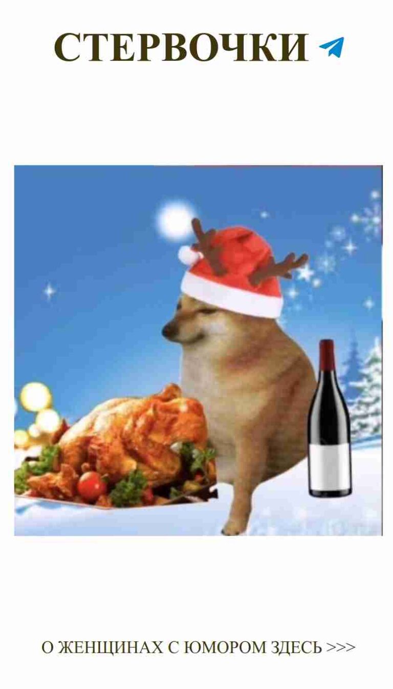 Санта-пес и вино: веселая история о любви на праздник
