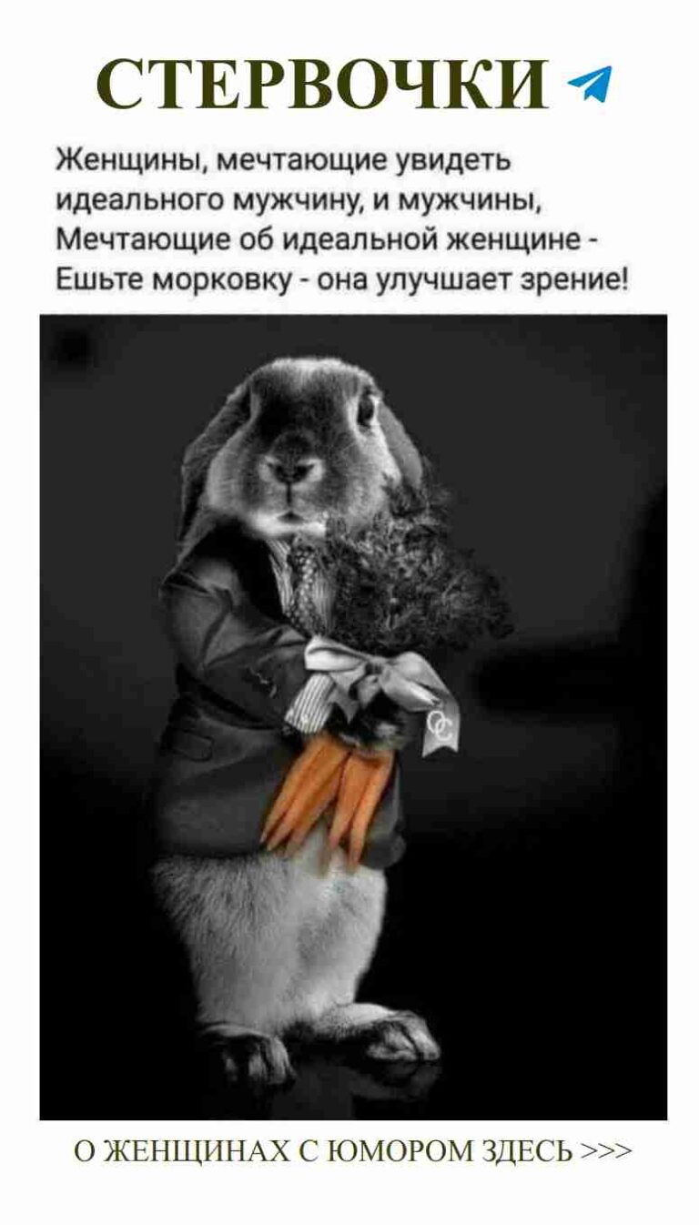 Любовь и юмор: когда морковь говорит больше, чем слова