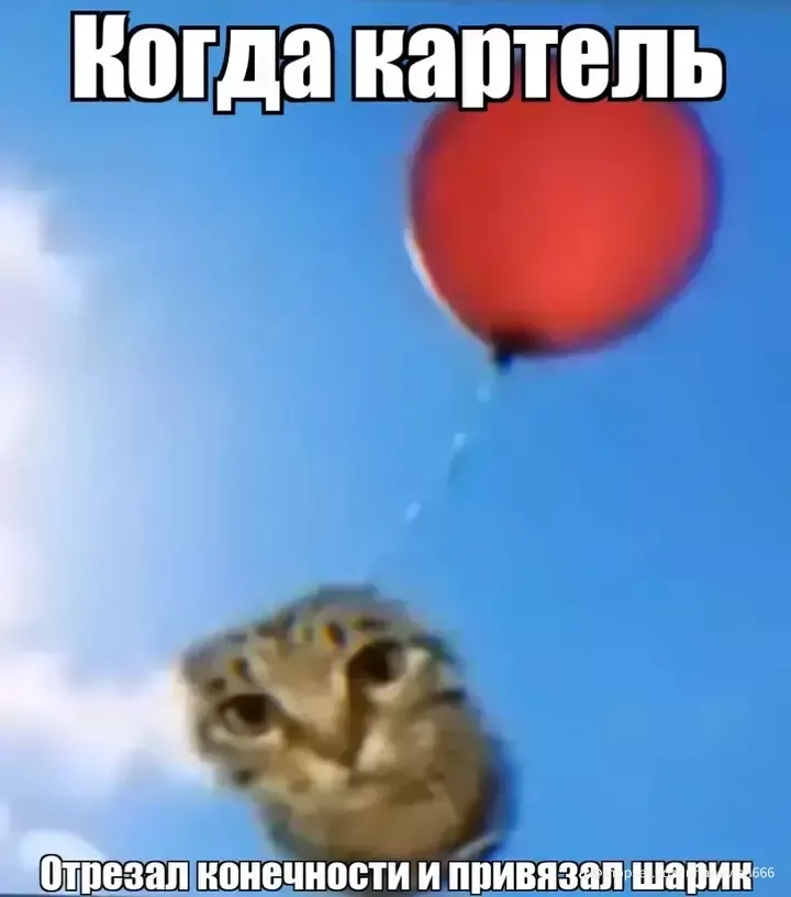 картель🤣🤣🤣🤣🤣🤣