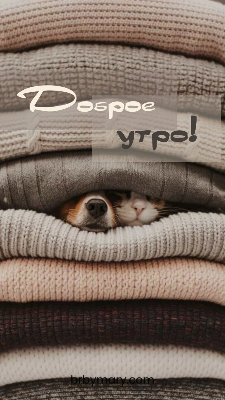 Доброе утро!