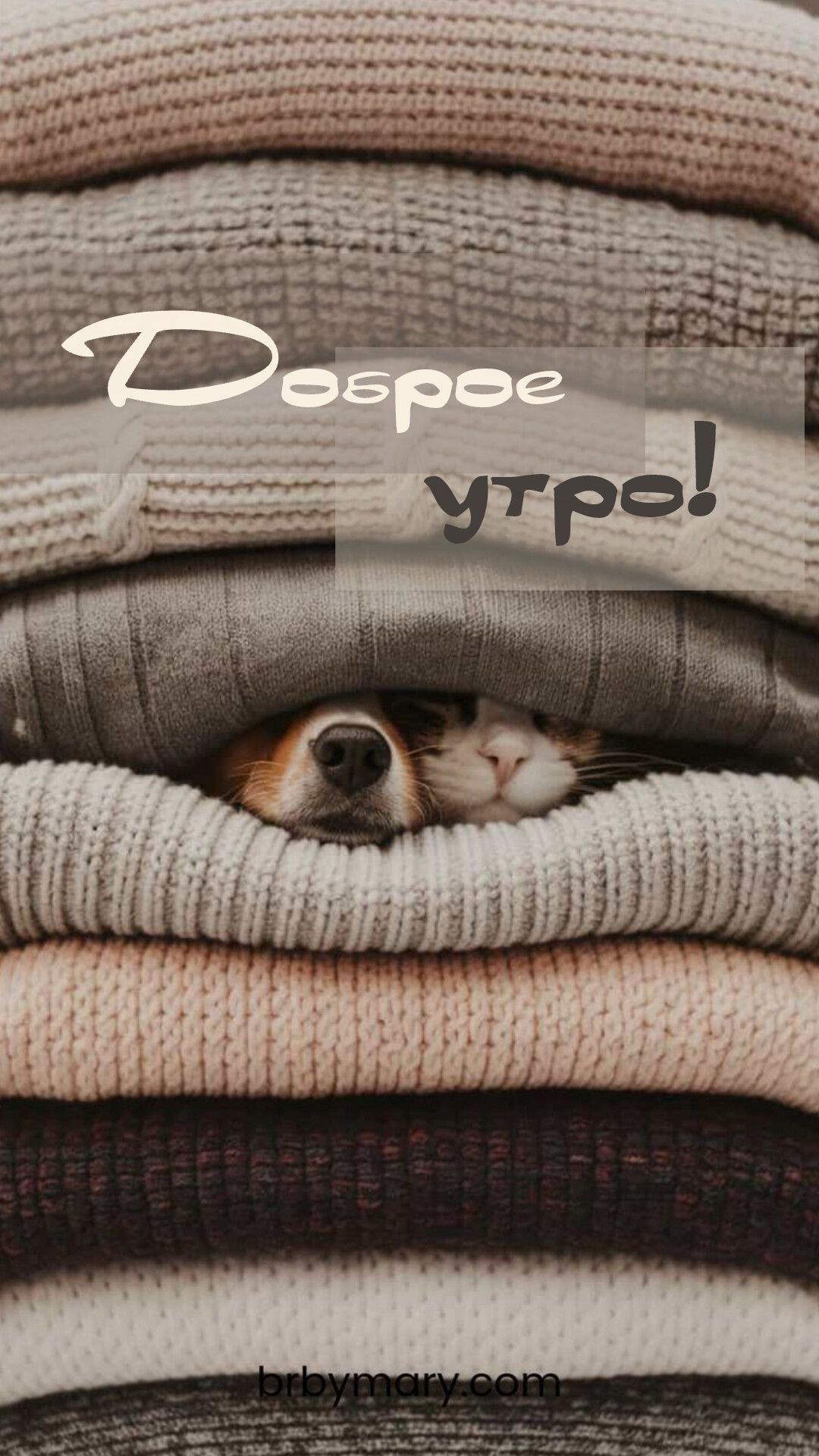 Доброе утро!