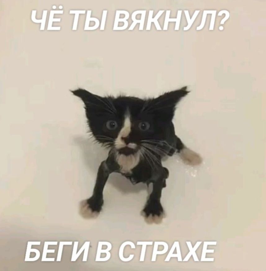Чо вякнул? БЕГИ В СТРАХЕ
