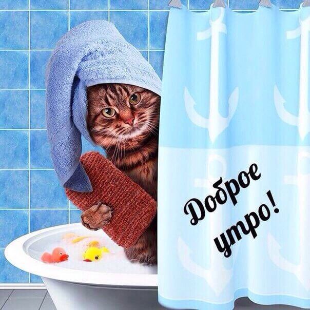 С добрым утром картинки прикольные с надписями (35 фото)