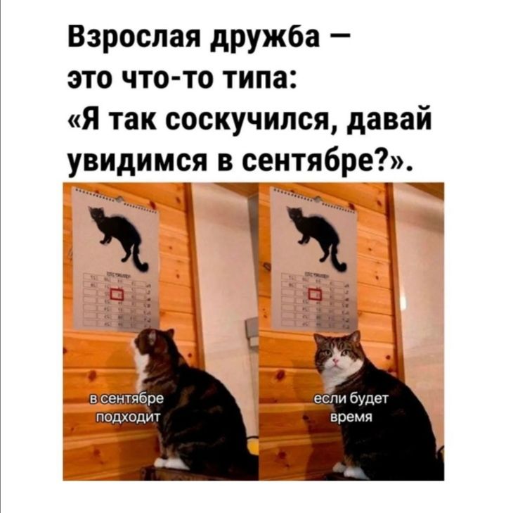 Смешные картинки, Юмор