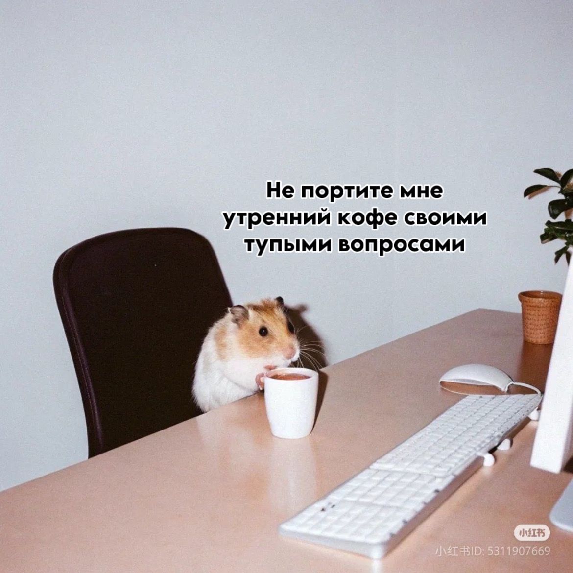 Утренний кофе на работе