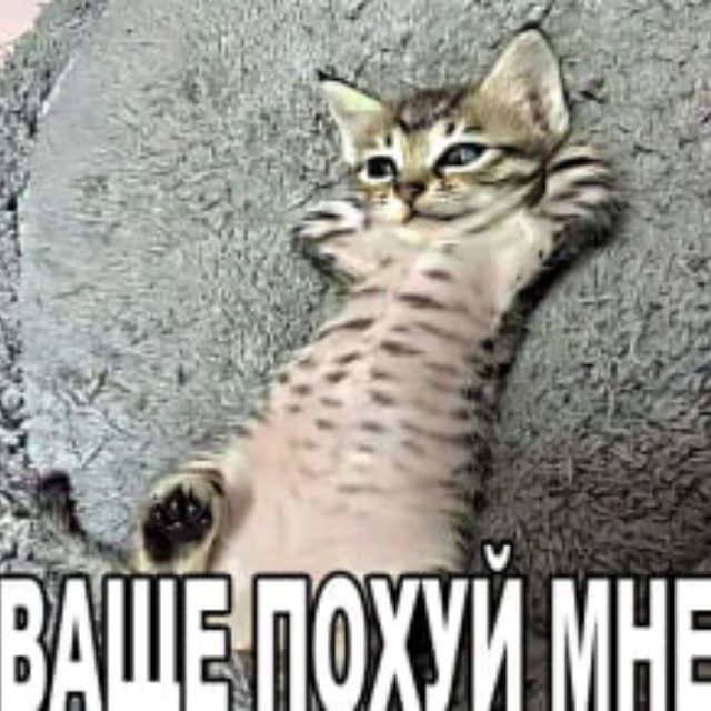 похх