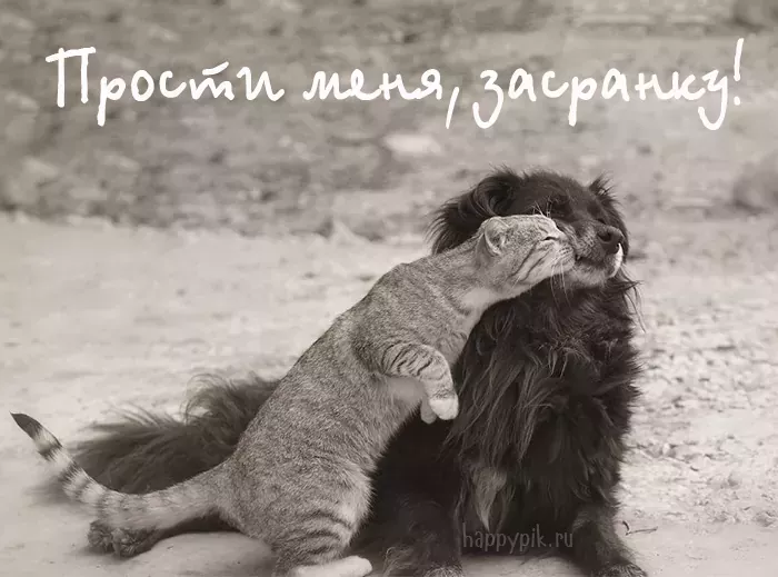 Картинки с надписью Прости – Извини меня – скачать