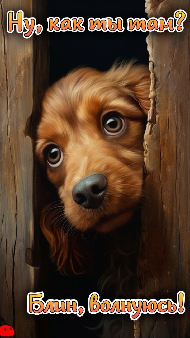 Ну как ты там?