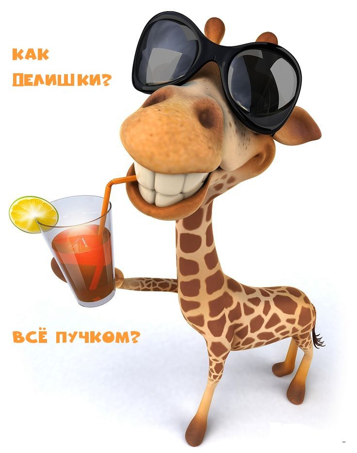 Как делишки? Всё пучком?