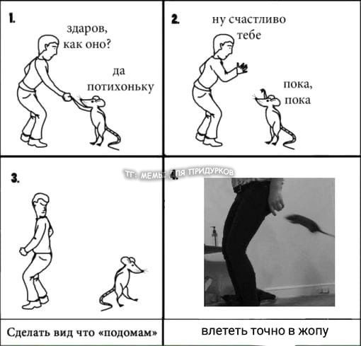 тг: мемы для придурков