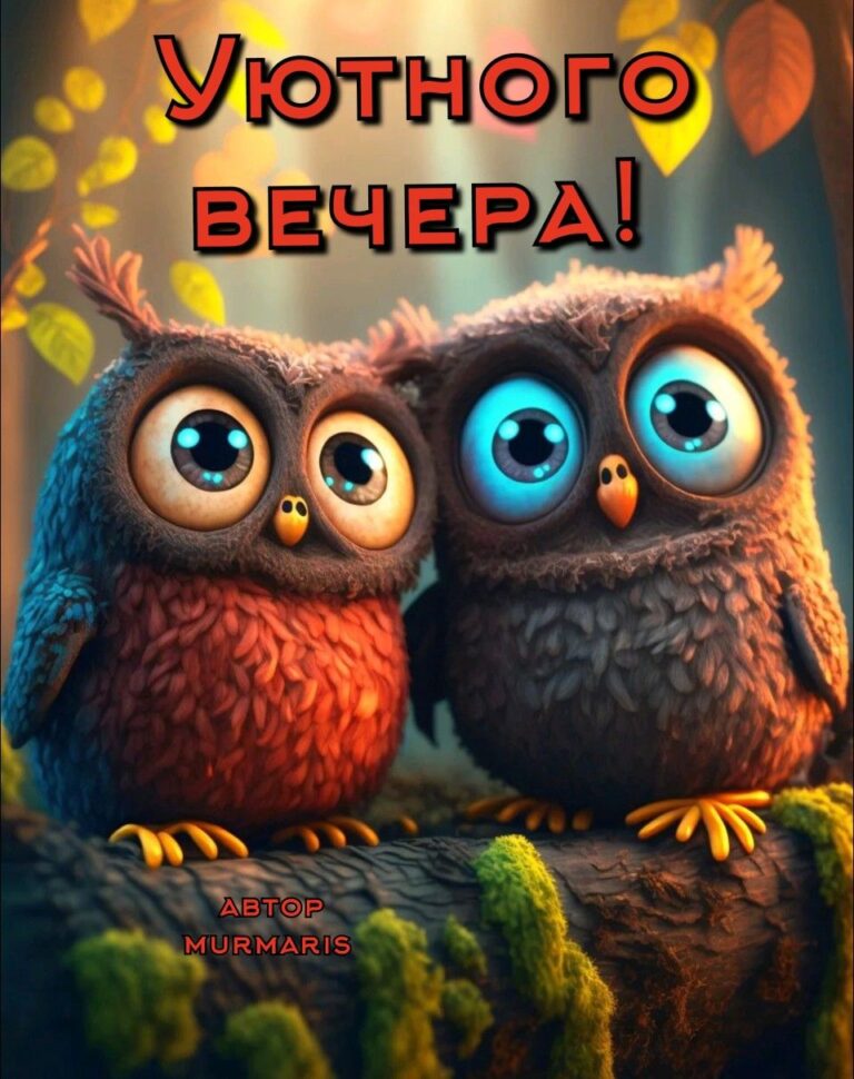 Уютного вечера!