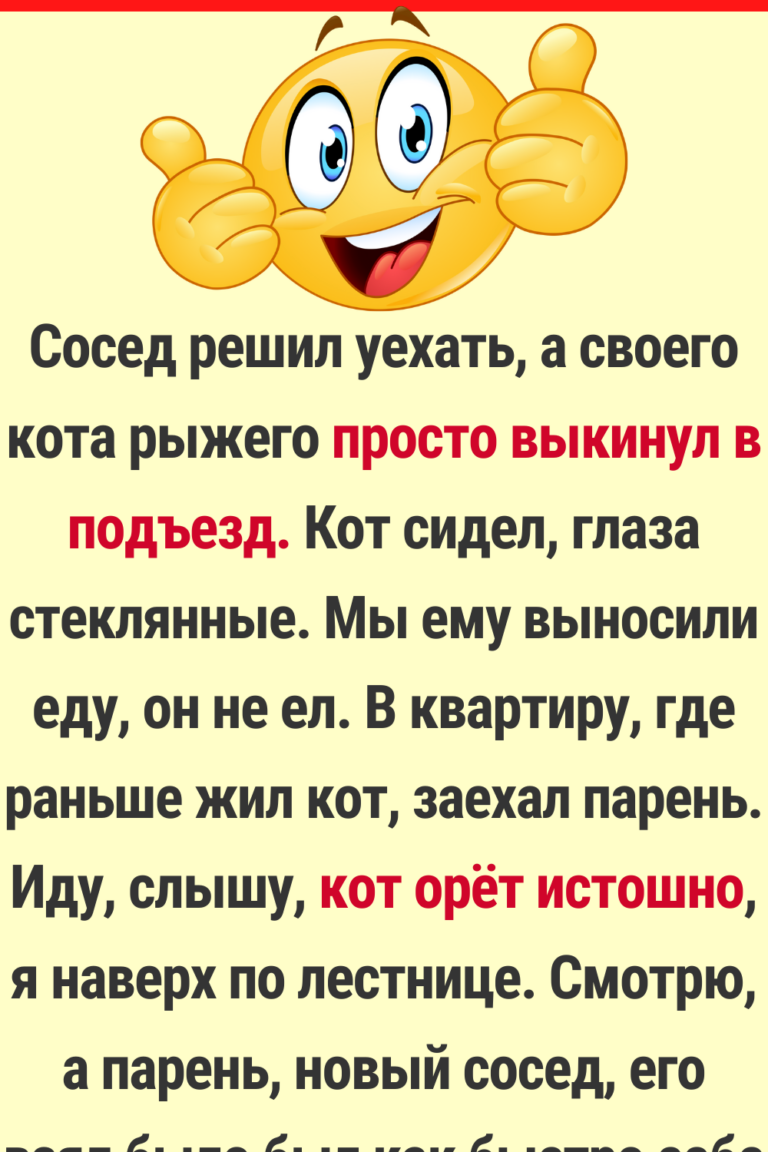 20+ человек поделились историями, которые заставили их снова поверить в людей