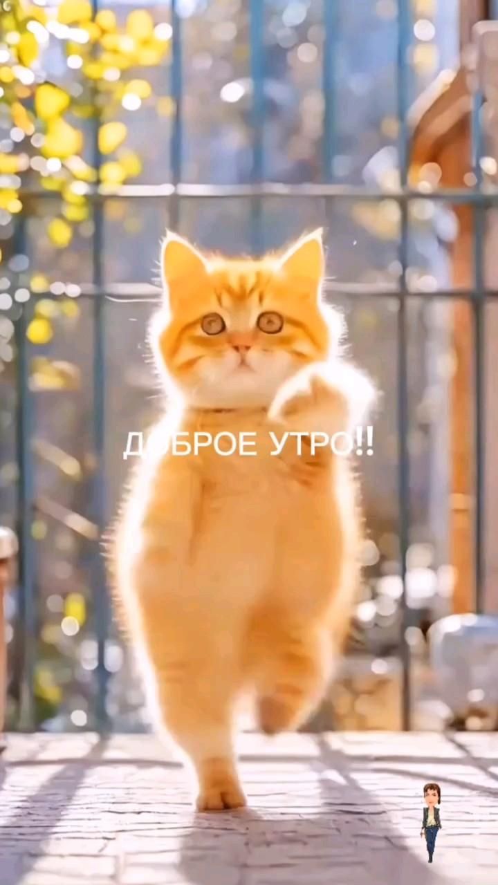 Ну и с добрым утром!