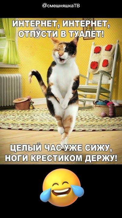 Жиза?#смех#мем#лол#шутка