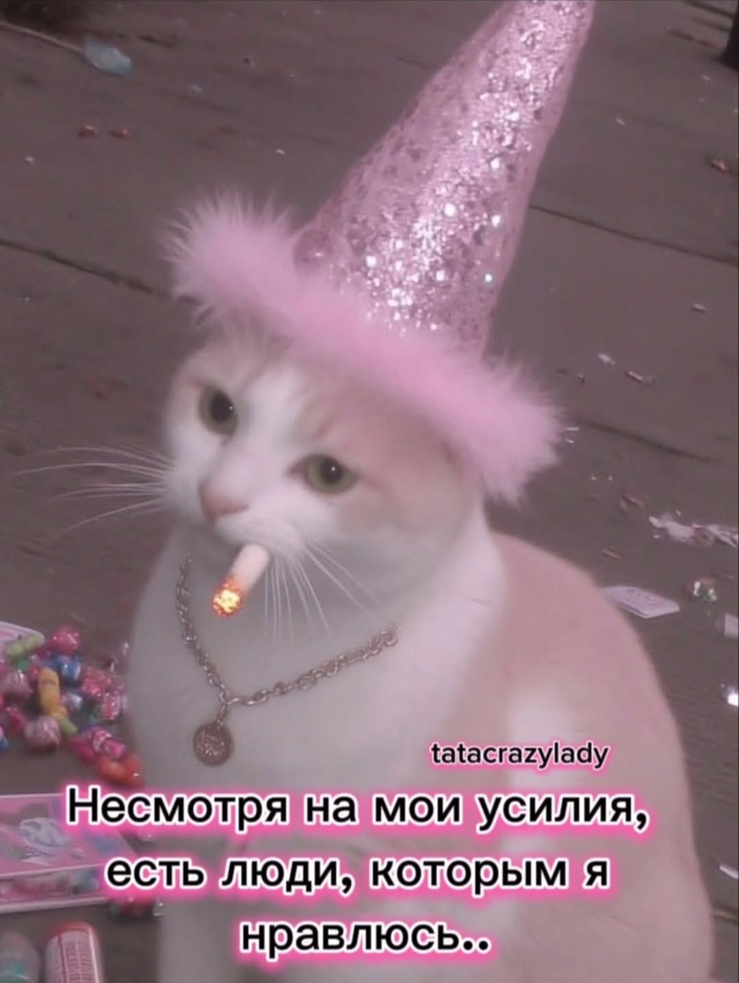 Несмотря на мои усилия