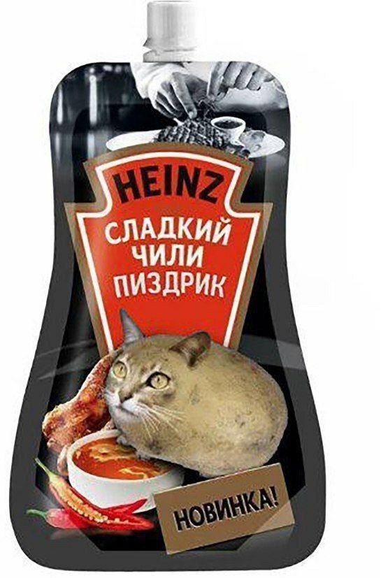 Мемы про котиков
