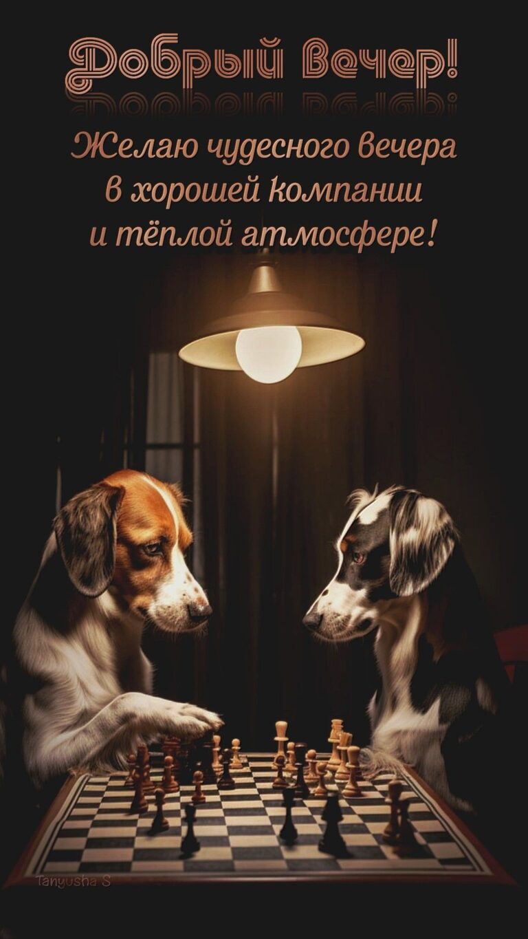Добрый вечер!🐕🌙