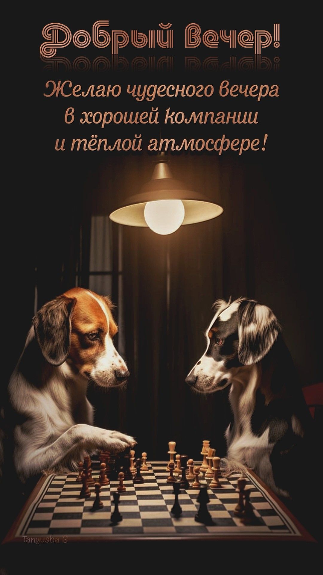 Добрый вечер!🐕🌙