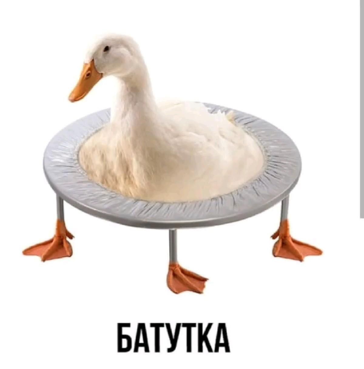 ну логично что сказать😶🤨