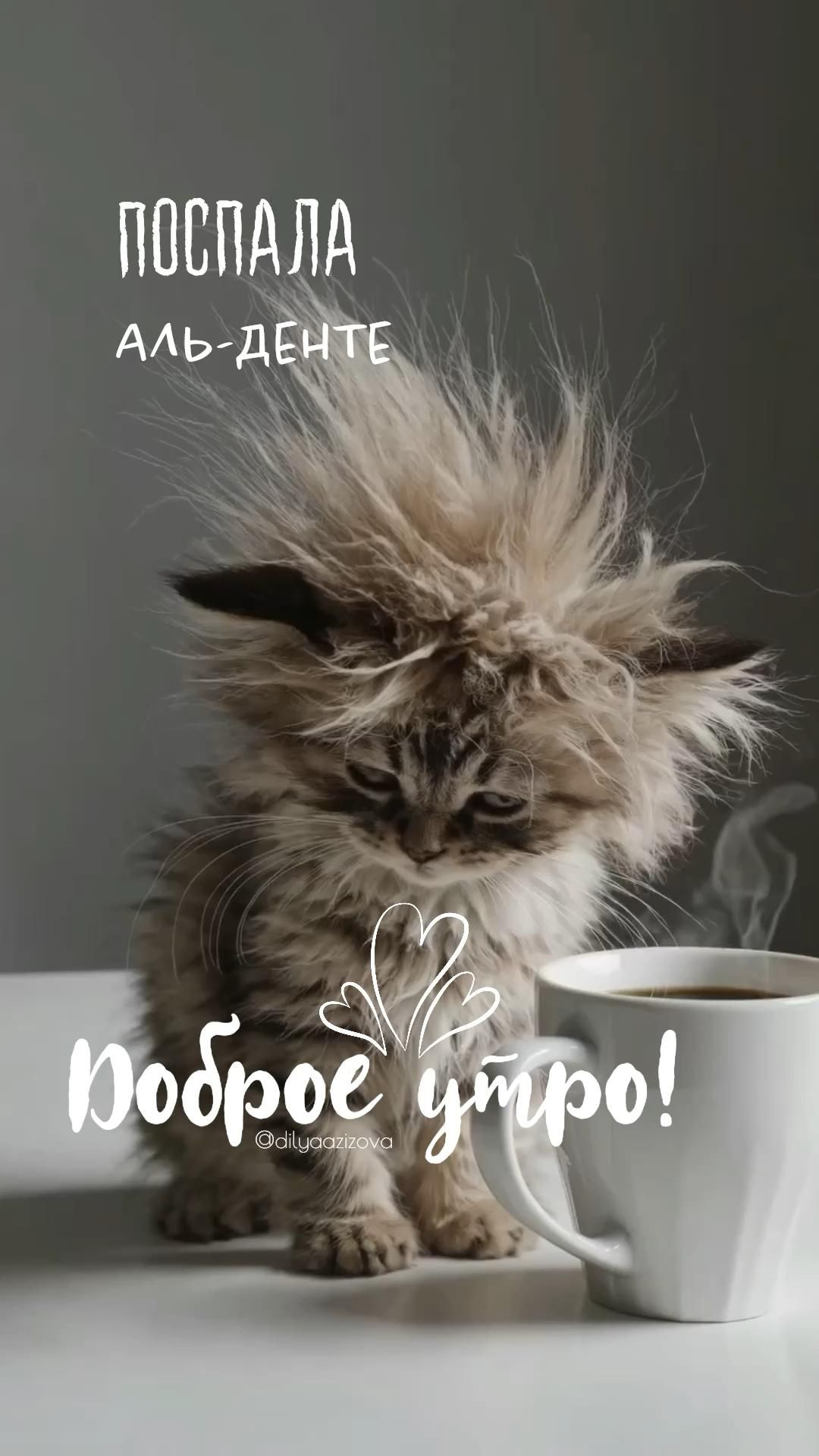 Доброе утро невыспавшиеся люди!