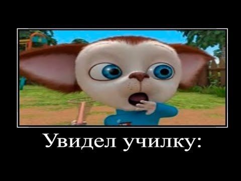 Я в магазе меме