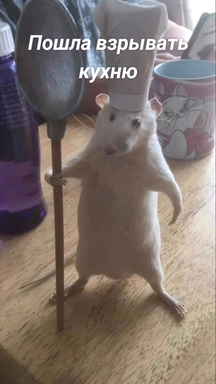 чисто я и кухня 🙂