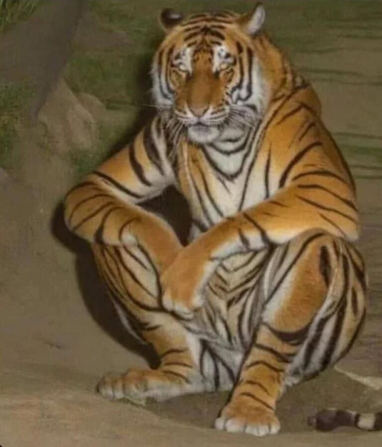 Post by @picsthatmakeyougohmm · 1 image