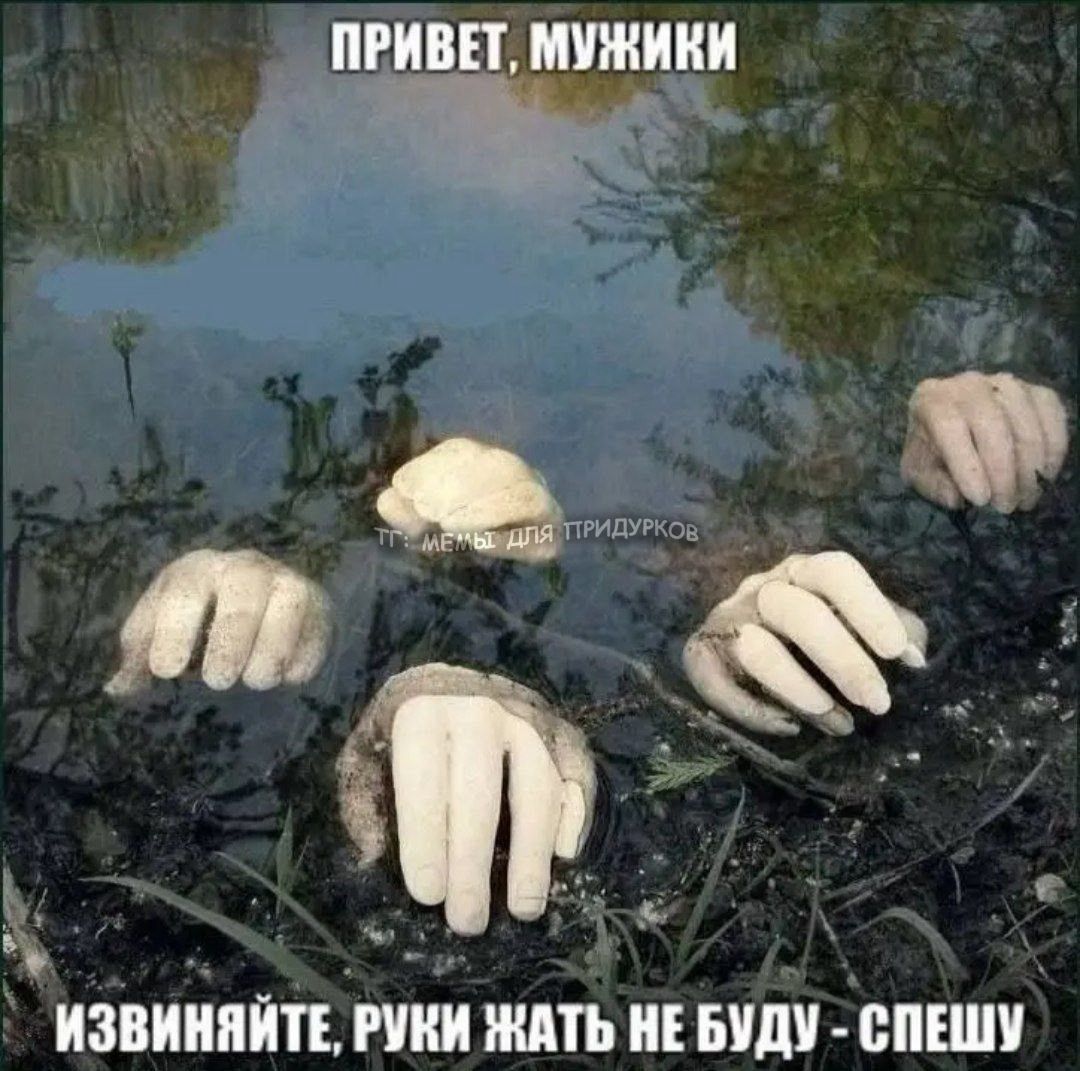 тг: мемы для придурков