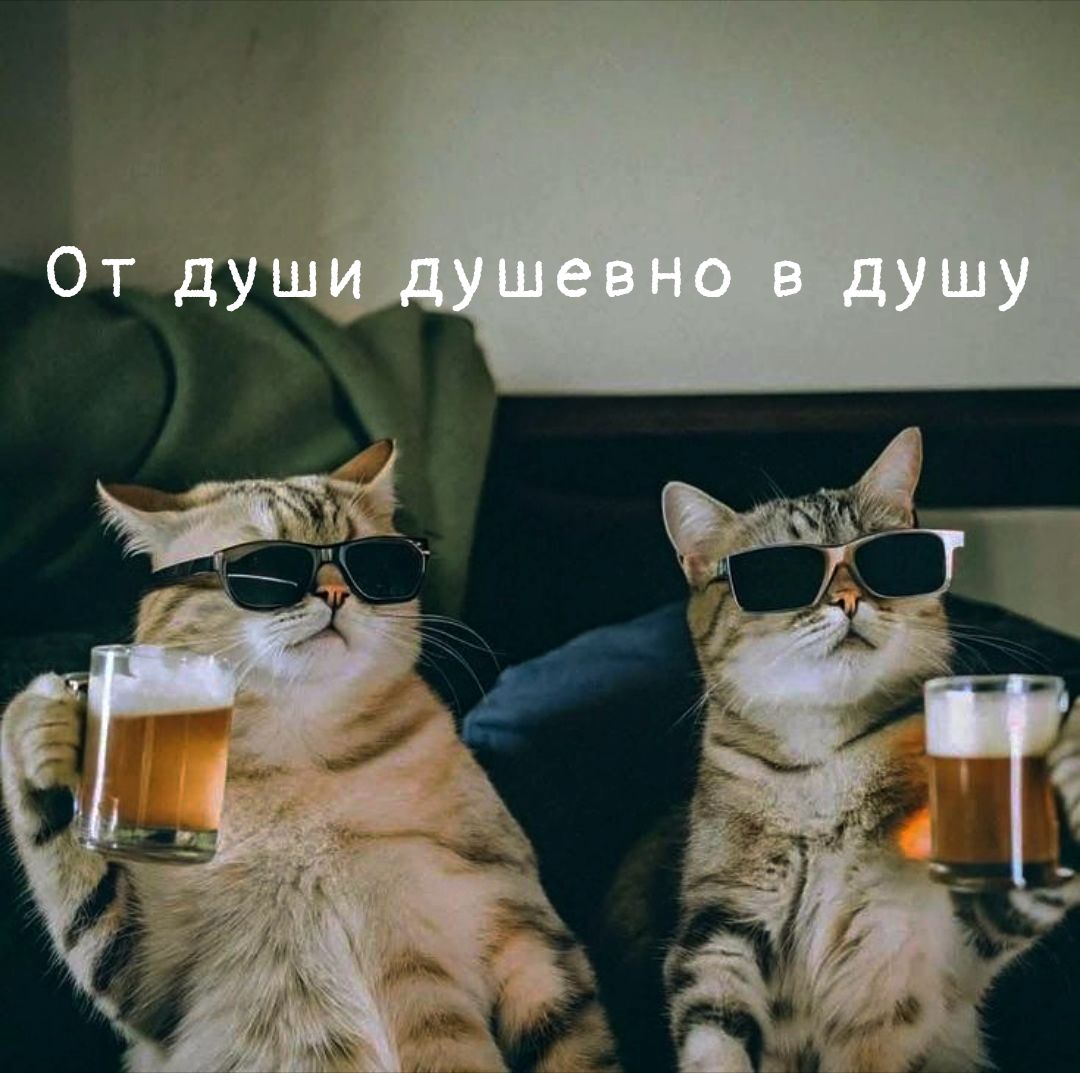 поздравление