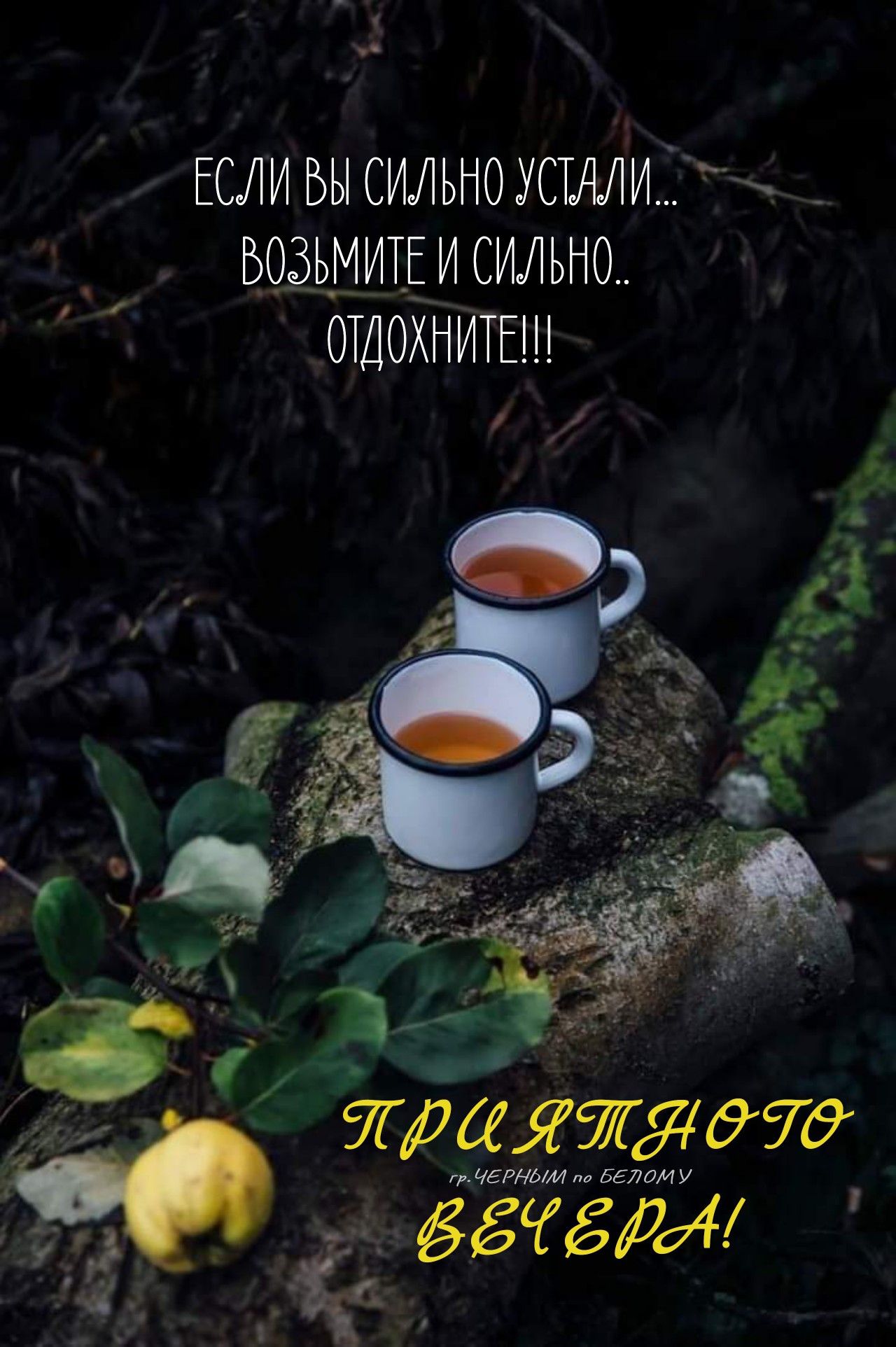 Марина Шевчук