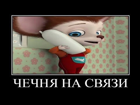 картинки смешные856