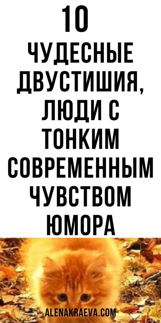 юмор очень смешно 248