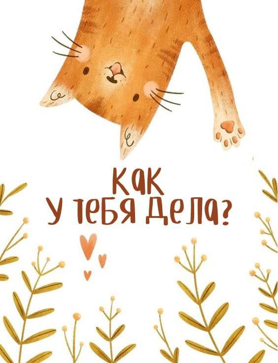 Смешные картинки, открытки, позитив