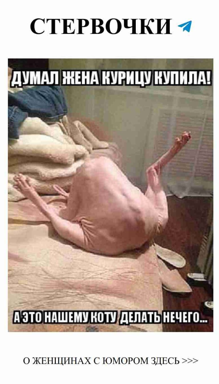 Лучшие забавные картинки о любви к жене