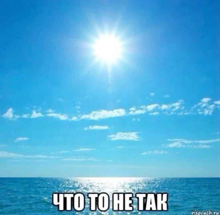 😼😼😼😼😼😼