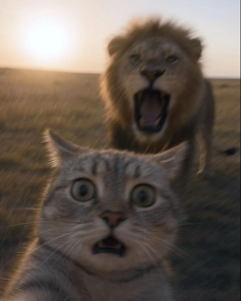 ❤️Save=Follow pinterest : Dontt199❤️