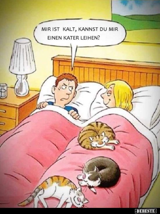 Mir ist kalt, kannst du mir einen Kater leihen?
