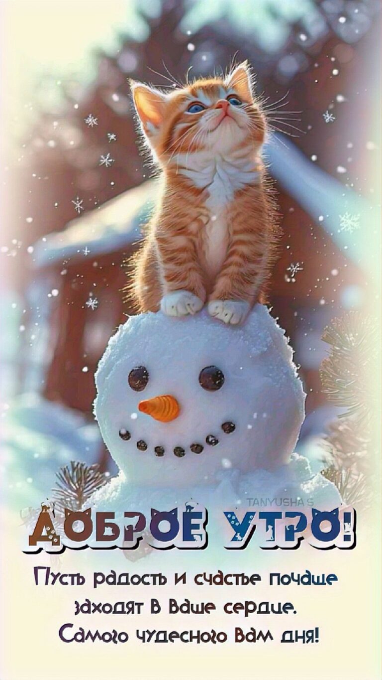 ДОБРОЕ УТРО!❄️☃️🐈