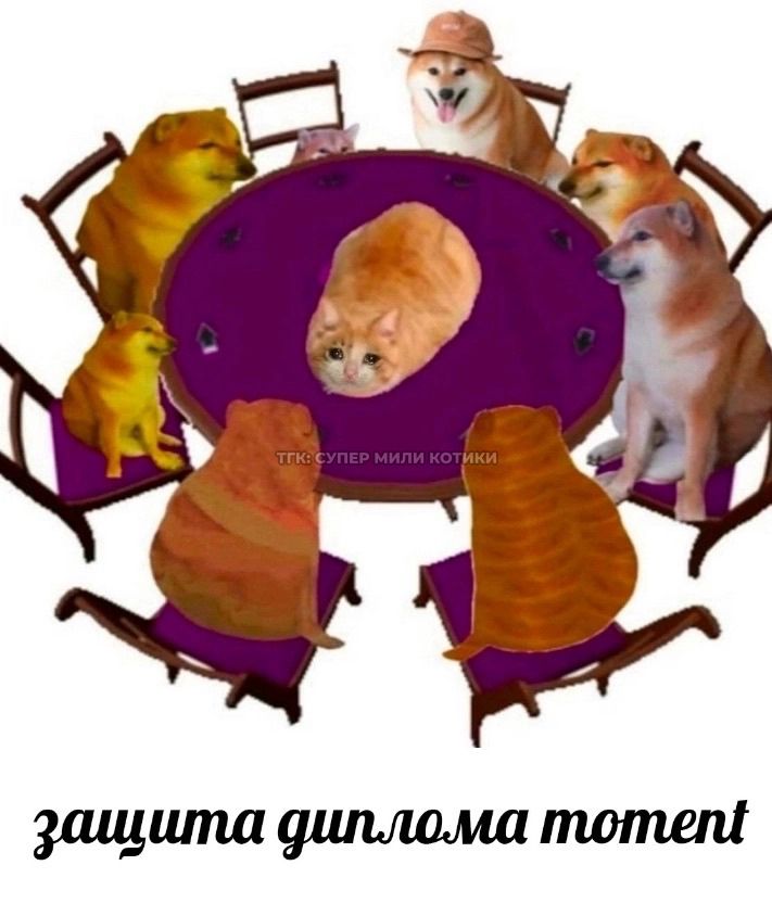 тгк: супер мили котики