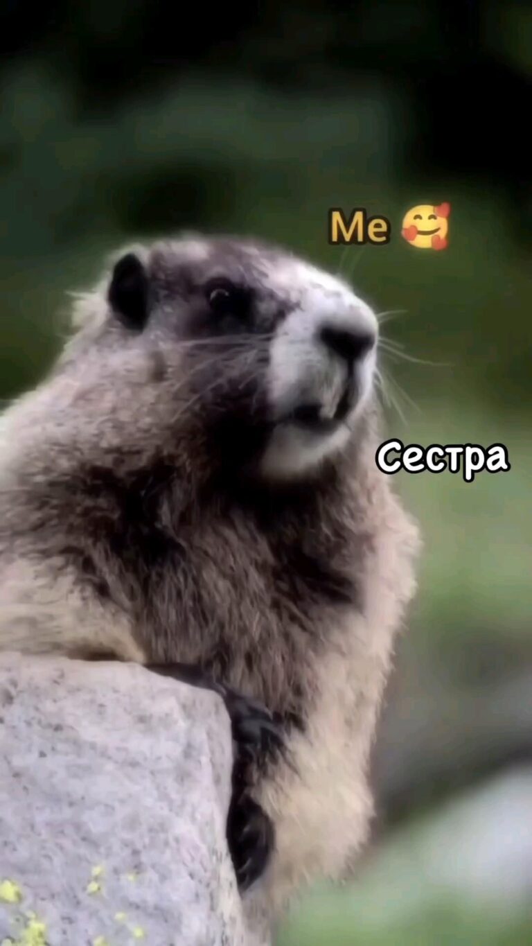 Моя сестра 🤣😀🤣
