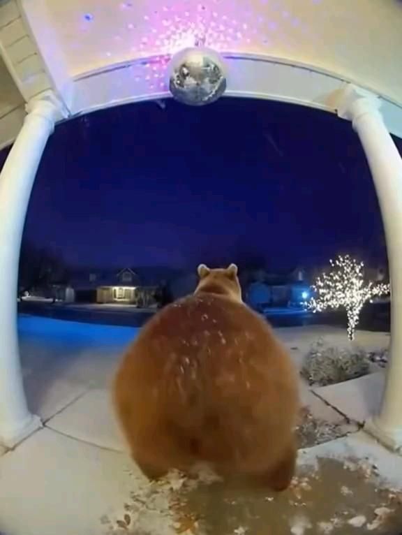 🤣ахахаахахааххааххаха