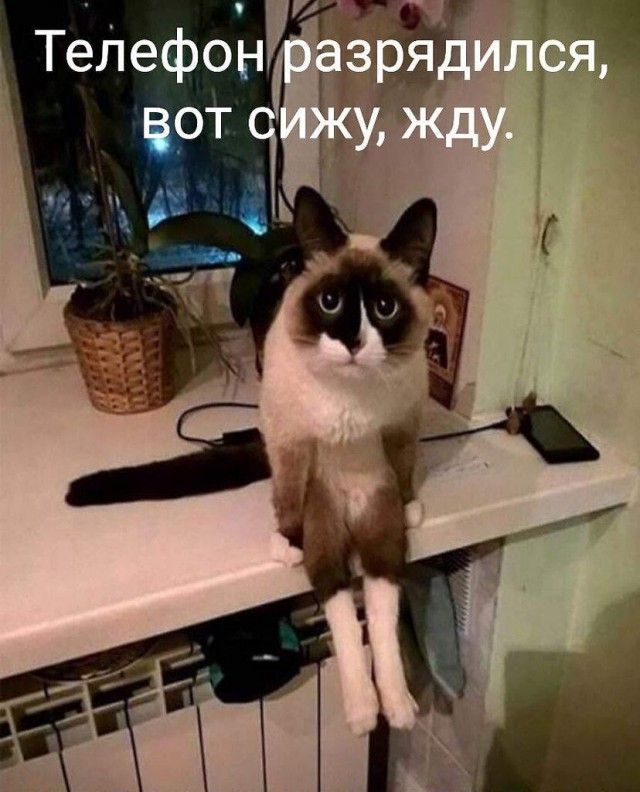 50 так себе картинок 27.05.20 – ЯПлакалъ