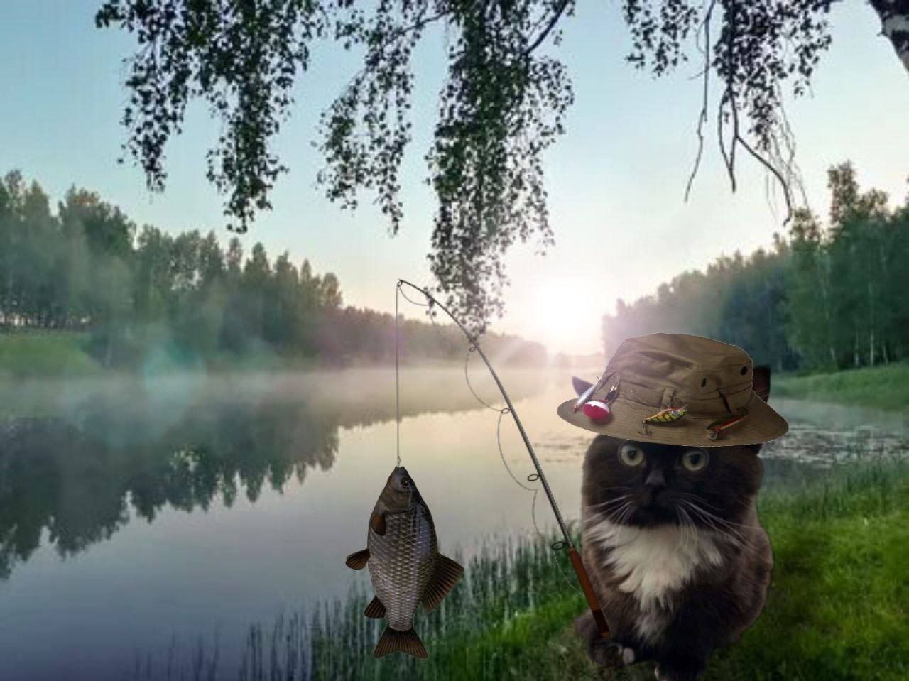 Котёнок Чмоня на рыбалке