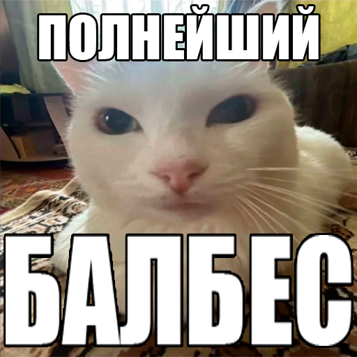 полнейший БАЛБЕС