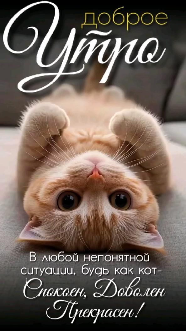 доброе утро