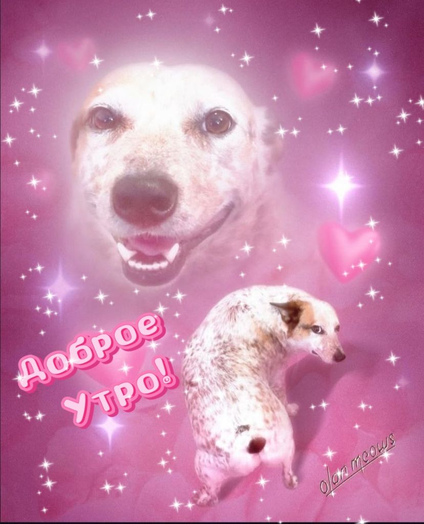 доброе утро!